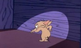 超萌爆料杰瑞的视频,萌态可掬，网友直呼“治愈系”