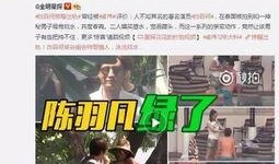 爆料张丰毅出轨事件视频,真相与争议