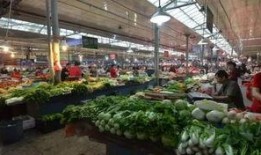 河南菜市场爆料视频播放,真实生活场景引发网友热议