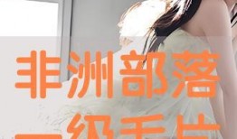 一级毛片视频在线观看,在线观看背后的真相与风险