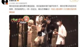 文轩爆料刘大锤视频播放,文轩爆料背后故事揭秘