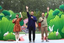 泽西最新爆料新闻视频大全,揭秘新闻视频大全背后的真相