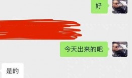 公众人物大爆料视频,大爆料视频背后的惊人真相