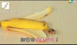 吃瓜不吐香蕉皮娱乐号能,揭秘娱乐圈那些不为人知的幕后故事