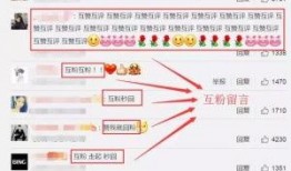 各种网红吃瓜群QQ号,QQ号背后的秘密与狂欢
