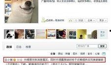 暗黑爆料新闻破解版下载,下载攻略与使用指南