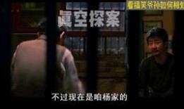 美国孙子爆料视频播放,揭秘家族秘密与权力斗争