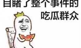 718吃瓜娱乐去哪里了,揭秘消失背后的真相与去向