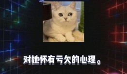 吃瓜娱乐圈课代表八卦,揭秘明星幕后故事