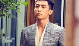 圈内人爆料黄景瑜李沁,幕后故事曝光