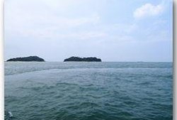 在线观看爱情岛,浪漫邂逅，心动之旅