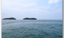 在线观看爱情岛,浪漫邂逅，心动之旅