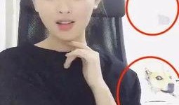 打工妹爆料视频,揭秘真实工作环境与待遇