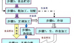 食品生产爆料流程视频,视频曝光背后的真相